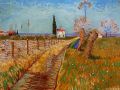 thumbnail Path Through a Field with Willows