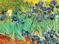 thumbnail Irises
