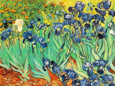 puzzle model Irises