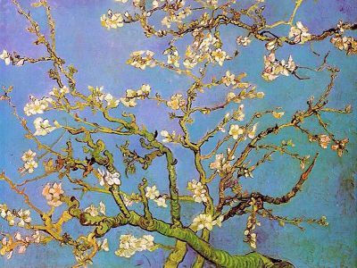 puzzle model Almond Blossoms