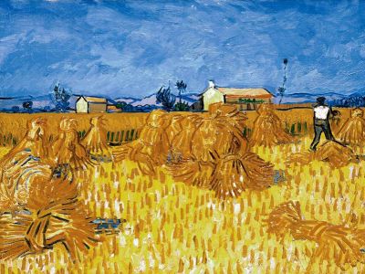 puzzle model Harvest in Provence