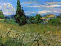 thumbnail Green wheat field with cypress