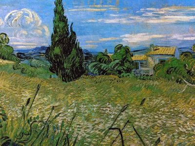 puzzle model Green wheat field with cypress