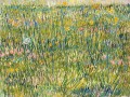 thumbnail Patch of Grass
