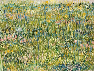 puzzle model Patch of Grass
