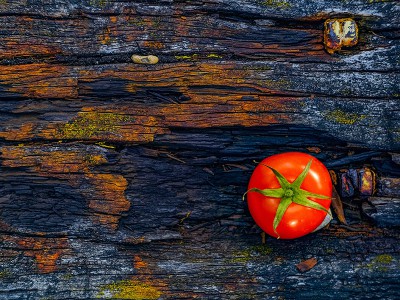 puzzle model Red tomato
